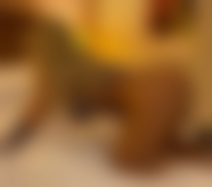 Escorts Merseyside Liverpool -